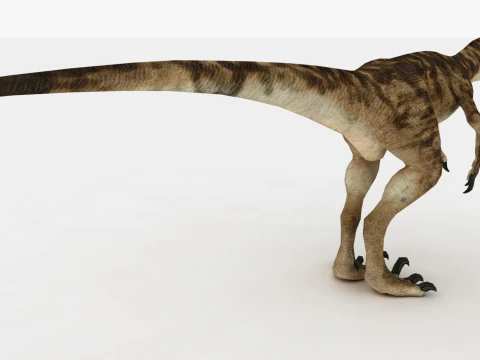 Raptor Dinozor 3D Model
