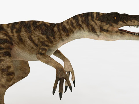 Raptor Dinosaur Modelo 3D
