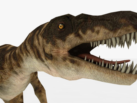 Raptor Dinosaur Modelo 3D