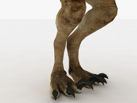 Raptor Dinosaur Modelo 3D