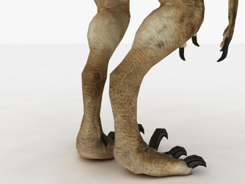 Raptor Dinosaur Modelo 3D