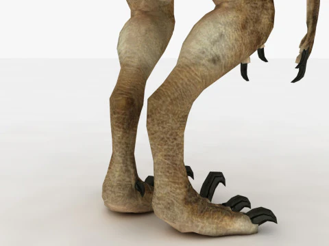 Raptor Dinozor 3D Model