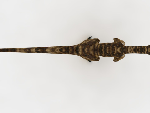 Raptor Dinosaur Modelo 3D