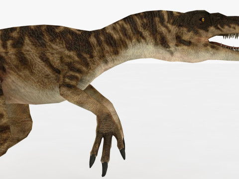 Raptor Dinosaur Modelo 3D