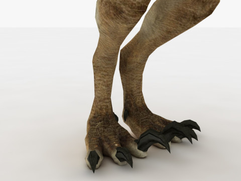 Raptor Dinosaur Modelo 3D