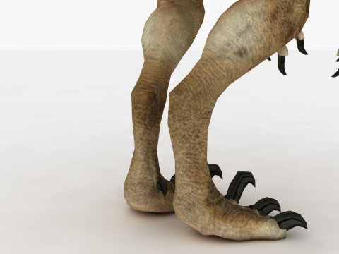 Raptor Dinosaur Modelo 3D