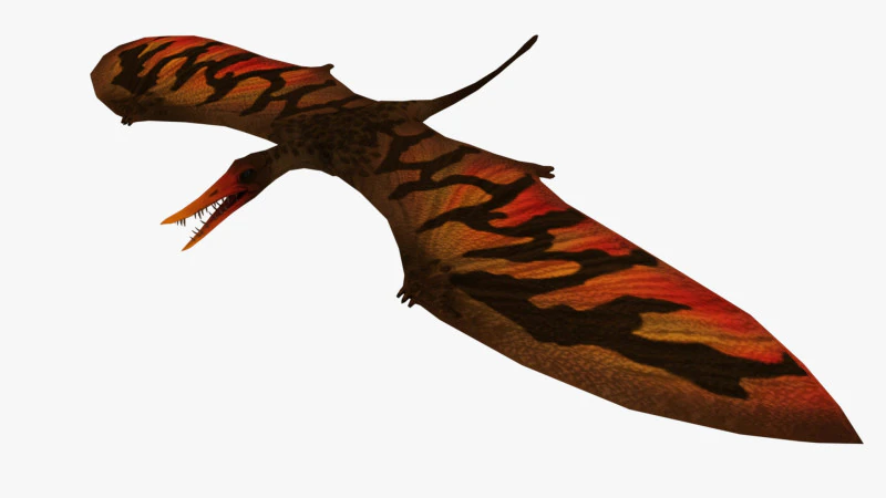 포린쿠스 3D 모델 .c4d .max .obj .3ds .fbx .stl .blend 