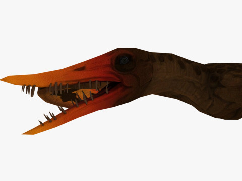 Phorynchus 3Dモデル