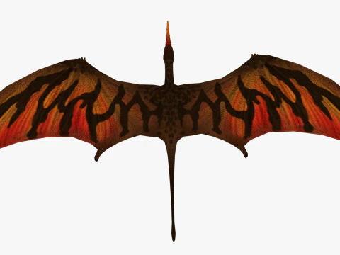 포린쿠스 3D 모델