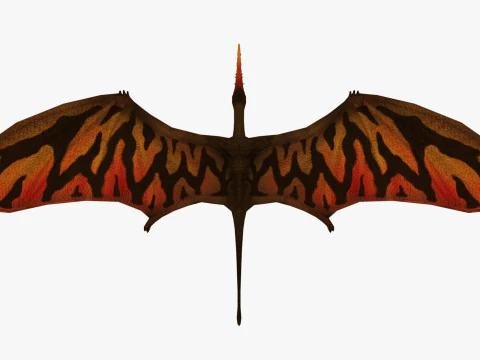 포린쿠스 3D 모델