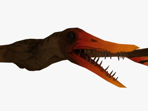 포린쿠스 3D 모델