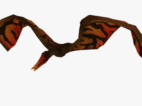 포린쿠스 3D 모델