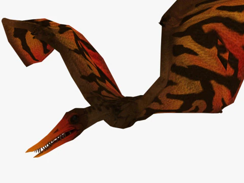 포린쿠스 3D 모델