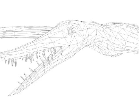 포린쿠스 3D 모델
