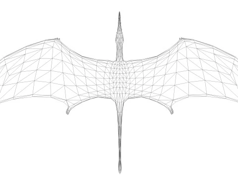 포린쿠스 3D 모델