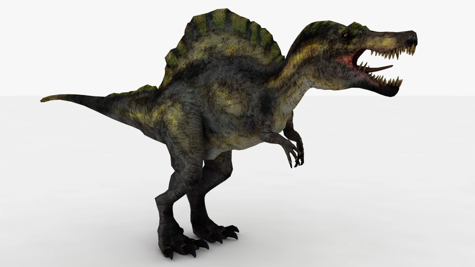 Spinosaurus 3D Model .c4d .max .obj .3ds .fbx .stl .blend 