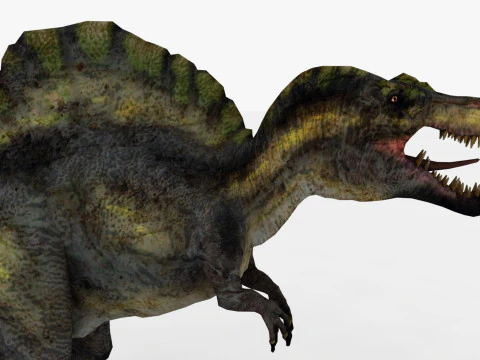 Spinosaurus 3D Model