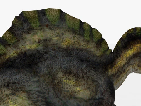 Spinosaurus 3D Model