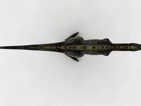 Spinosaurus 3D Model