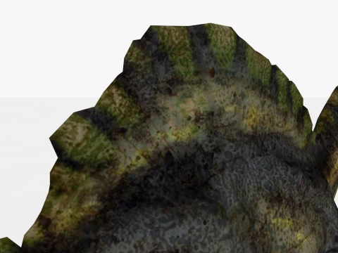 Spinosaurus 3D Model