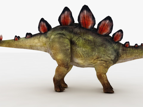 Stegosaurus Model 3D