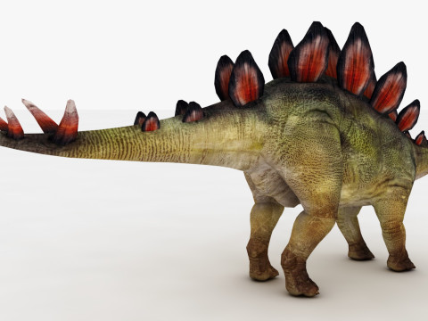 Stegosaurus Model 3D