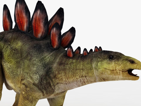 Stegosaurus Model 3D
