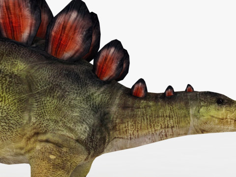 Stegosaurus Model 3D