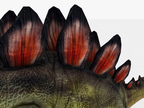 Stegosaurus Model 3D