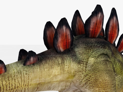 Stegosaurus Model 3D