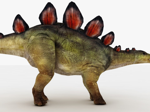 Stegosaurus Model 3D