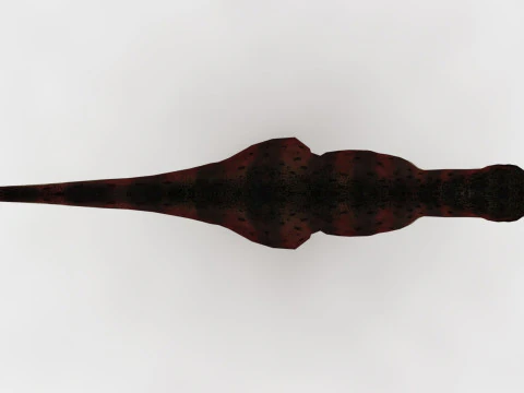 Tyrannosaurus Rex 3D Model