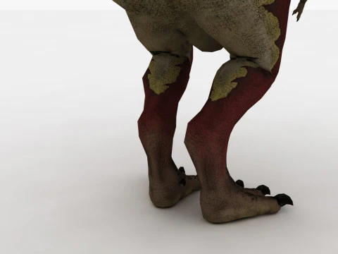 Tyrannosaurus Rex 3D Model
