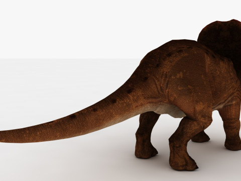 Triceratops 3D 模型