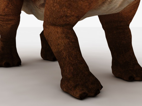Triceratops 3D 模型