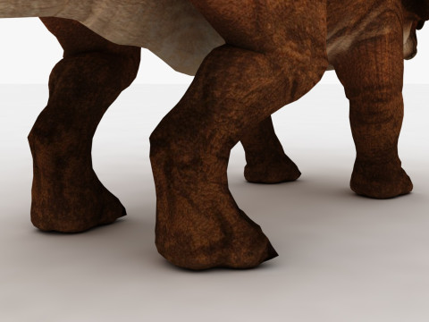 Triceratops 3D 模型