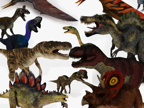 Dinosaur Collection Pack 3D Model