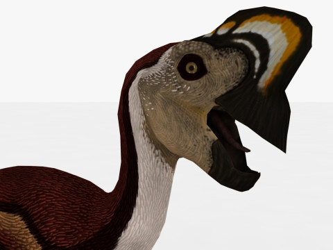 Dinosaur Collection Pack 3D Модель