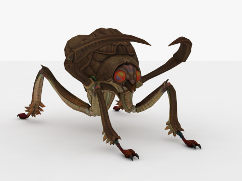 Ant Collection Model 3D