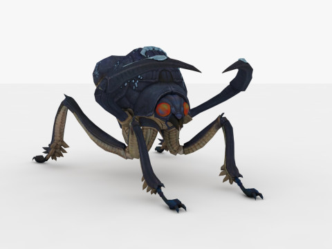 Ant Collection Model 3D