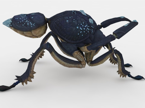Ant Collection Model 3D