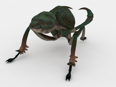 Ant Collection Model 3D