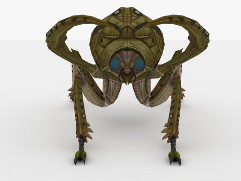 Ant Collection Model 3D