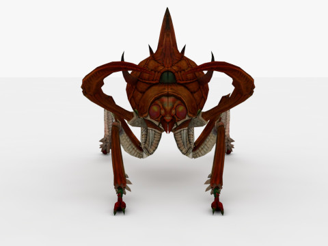 Ant Collection Model 3D