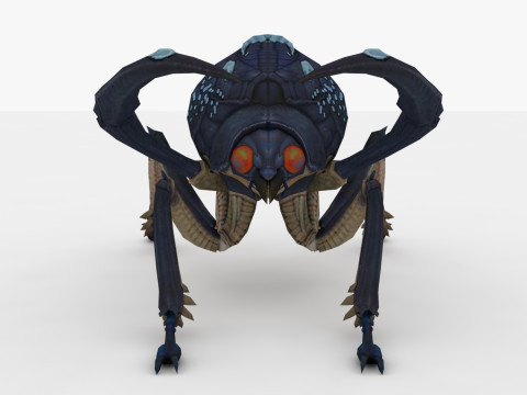 Ant Collection Model 3D
