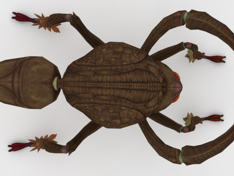 Ant Collection Model 3D