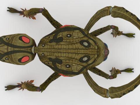 Ant Collection Model 3D