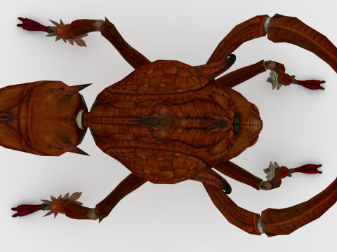 Ant Collection Model 3D