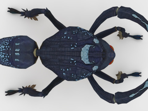 Ant Collection Model 3D