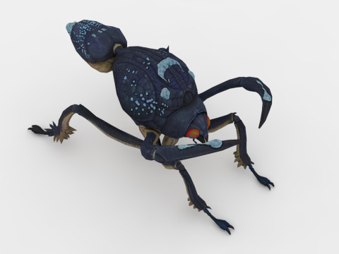 Ant Collection Model 3D
